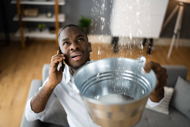 Best Basement water damage restoration  in Hartsville, SC