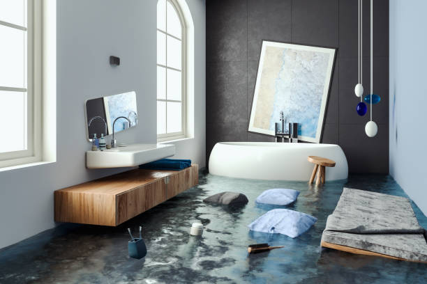 Best Professional water damage repair  in Hartsville, SC