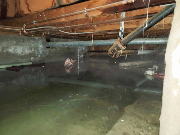 Carpet water damage restoration in Hartsville, SC