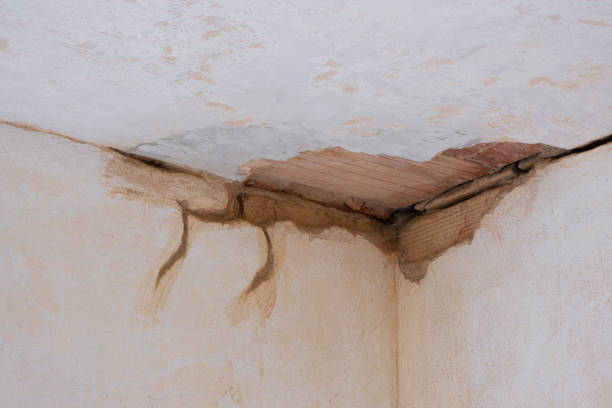 Hartsville, SC Water damage restoration Company