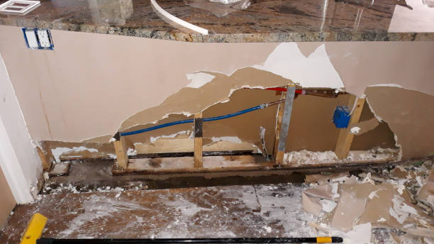 Best Water damage restoration experts  in Hartsville, SC