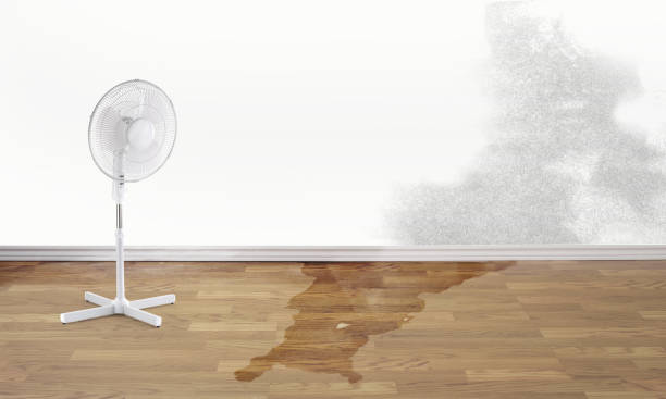 Best Flood restoration services  in Hartsville, SC