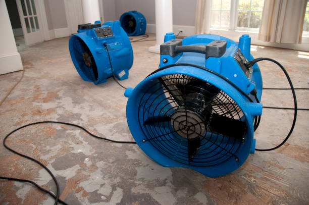 Best Ceiling water damage repair  in Hartsville, SC